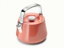 Whistling Tea Kettle